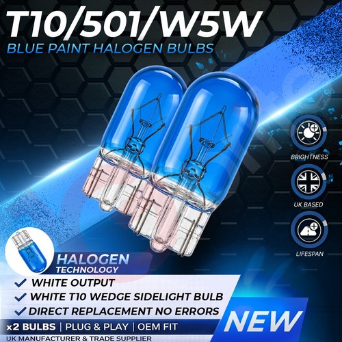 Xenon blue white t10 - blue, 501